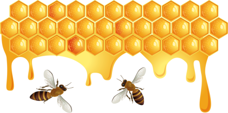 Соты пчелиные