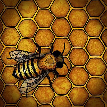 Пчела на сотах
