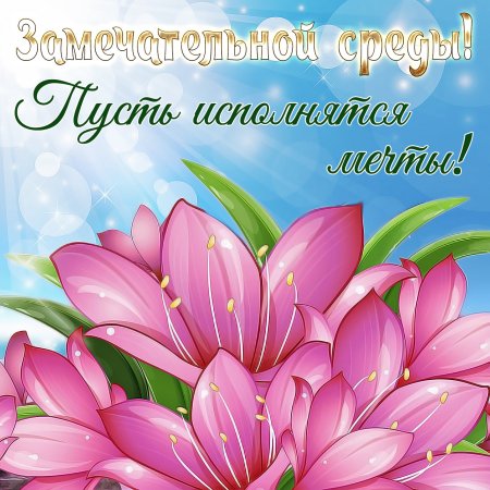 Пожелания доброй среды