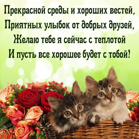 Добрые пожелания