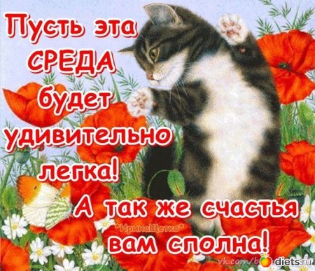 Открытки со средой