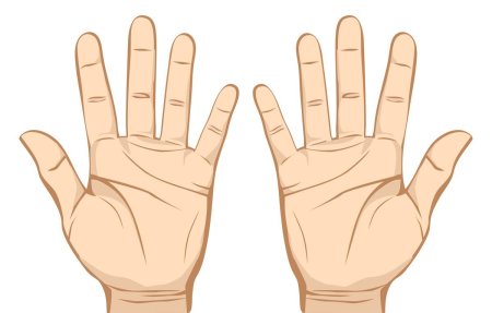 Ладонь рисунок