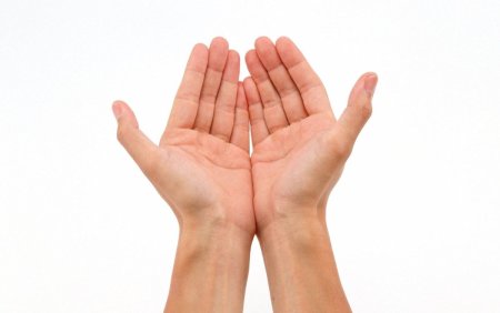 Рука человека