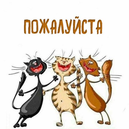 Афоризмы для поднятия настроения