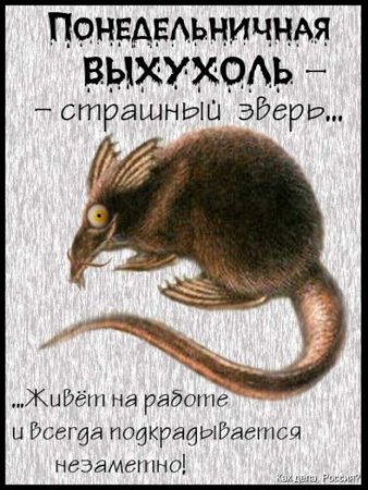 Анекдот про выхухоль