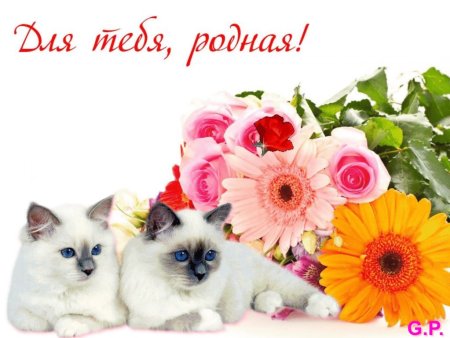 Тебе моя родная открытки