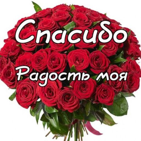 Спасибо большое моя дорогая