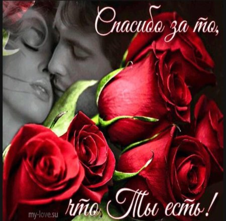 Любимая моя