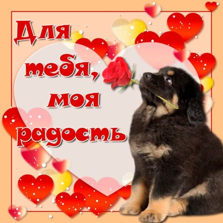 Открытки я люблю тебя милая