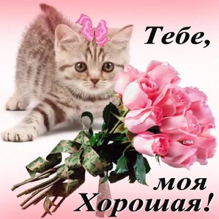 Красивые открытки для девушки