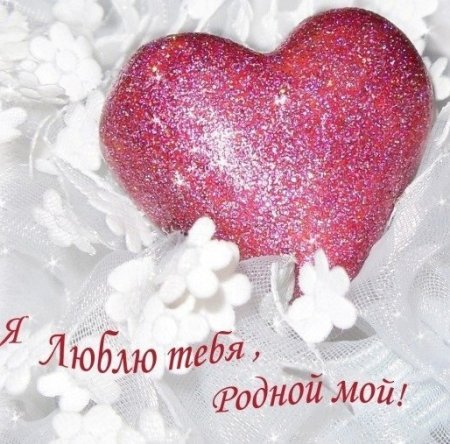 Люблю тебя мой родной