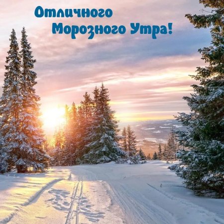 С добрым морозным утром