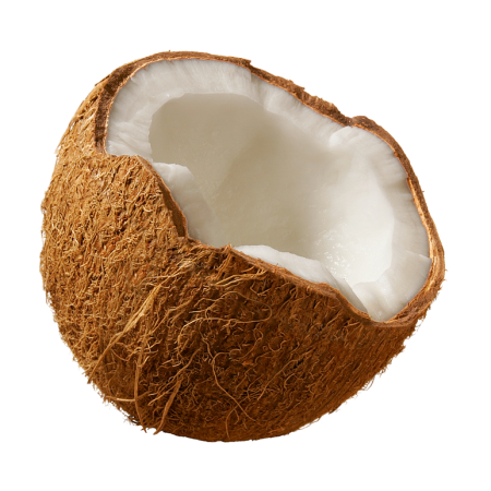 Coconut collection кокосовое