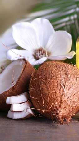 Стильный Кокос