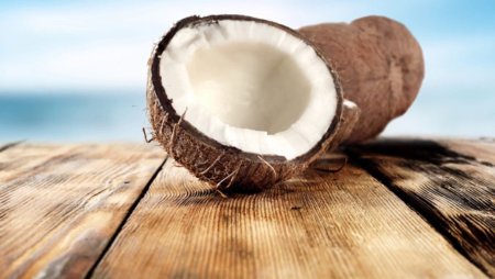 Красивый Кокос