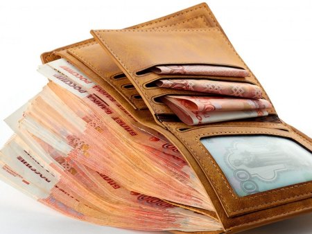 Портмоне с деньгами