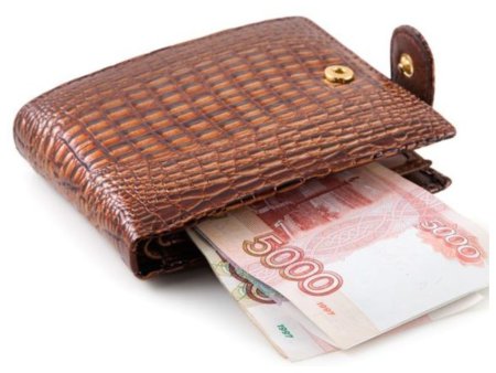 Кошелек с деньгами