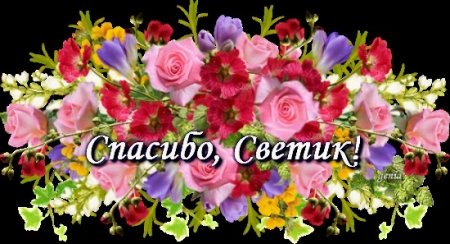 Спасибо света