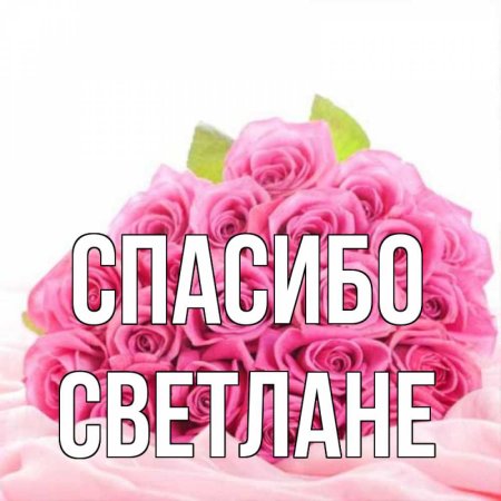 Спасибо Светлана