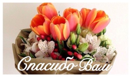 Спасибо Надежда