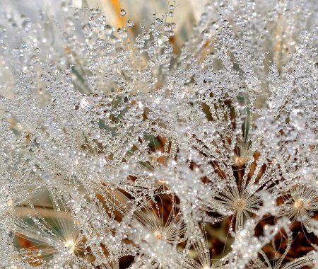 Искрящийся снег