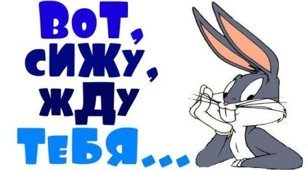 Жду тебя