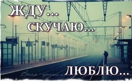 Жду тебя любимый