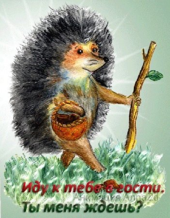 Ежик идет на работу