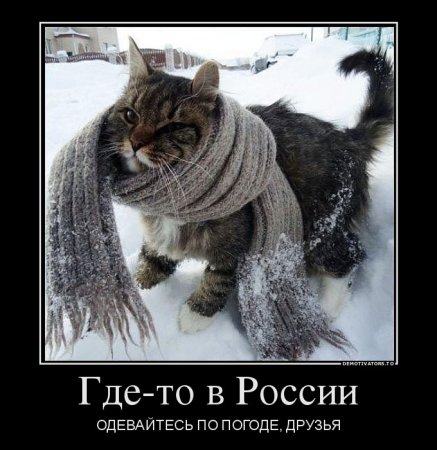 Одевайся теплее