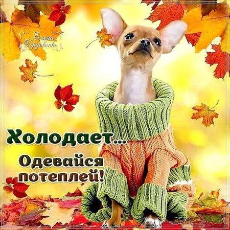 Пора утепляться на осень