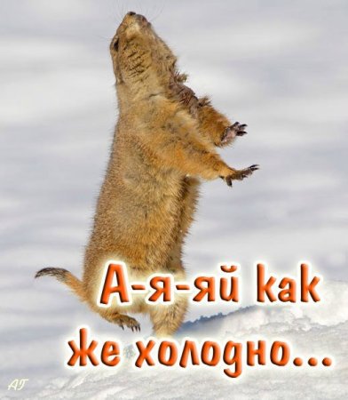 Открытки замерз