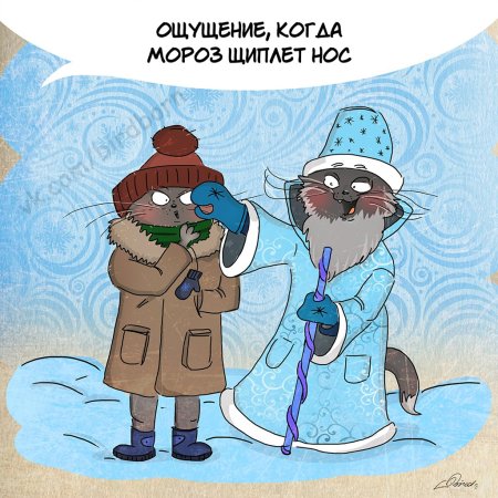 Зима юмор