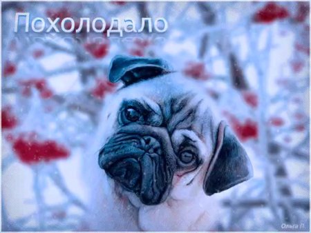 Доброе утро одевайтесь теплее