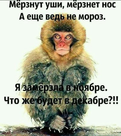 Шутки про Мороз