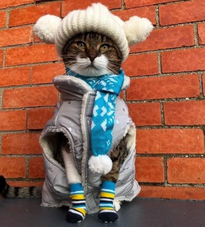 Одеваемся теплее