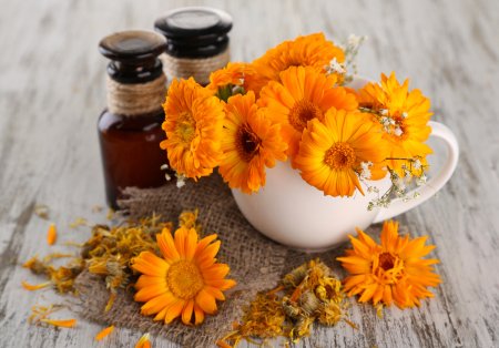Календула лекарственная (Calendula)