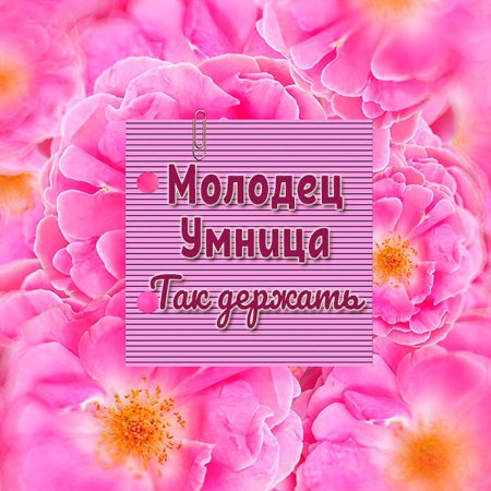 Молодец умница