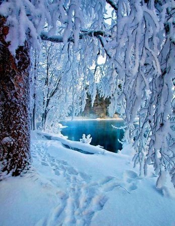 Зимняя красота