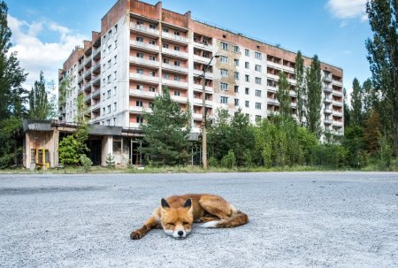 Зона отчуждения город Припять