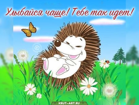 Еж смеется
