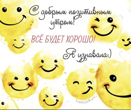 Смешные пожелания хорошего дня
