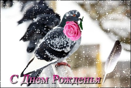 Зимние открытки с днем рождения