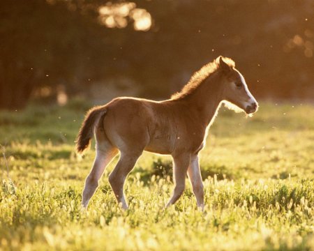 Айылҕаны харыстыаҕыҥ