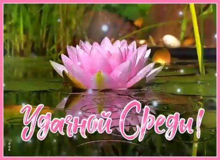 Красивые поздравления со средой