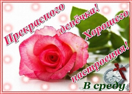 Прекрасной среды и отличного настроения