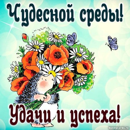 Прекрасной среды открытки