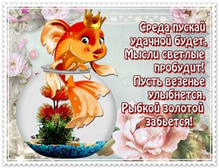 Поздравление со средой