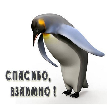 Открытки спасибо взаимно