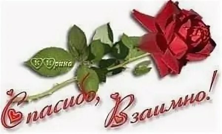 Открытки спасибо взаимно