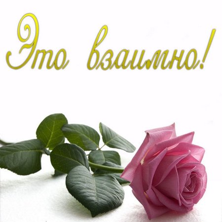 Взаимно открытка